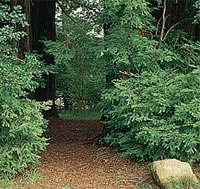 Upcoming Sanborn trail buildin’ days!