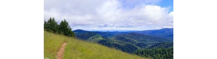Great Opportunity at Castle Rock State Park