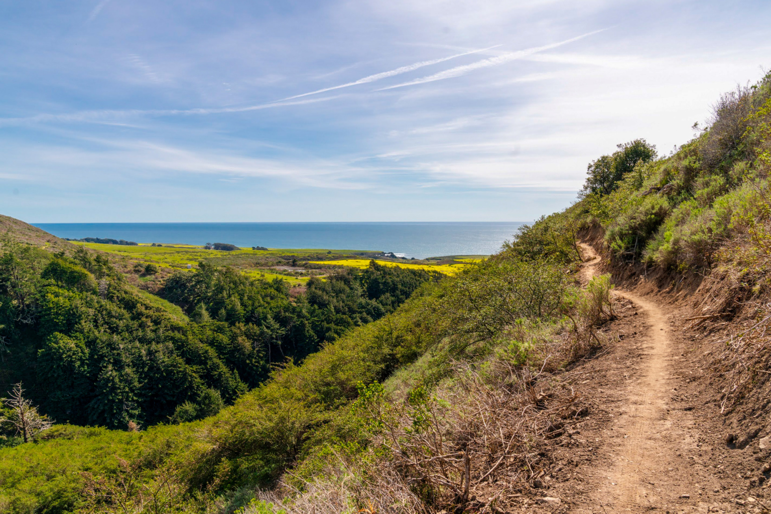 Cotoni‑Coast Dairies Trails Opening this Weekend — A Model for Environmentally Sensitive Access
